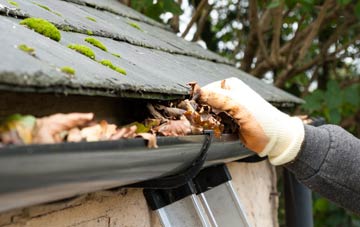gutter cleaning Rushock