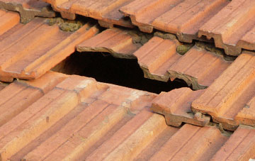 roof repair Rushock